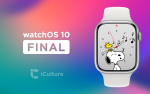 watchOS 10 Final