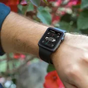 Tesla-app voor Apple Watch