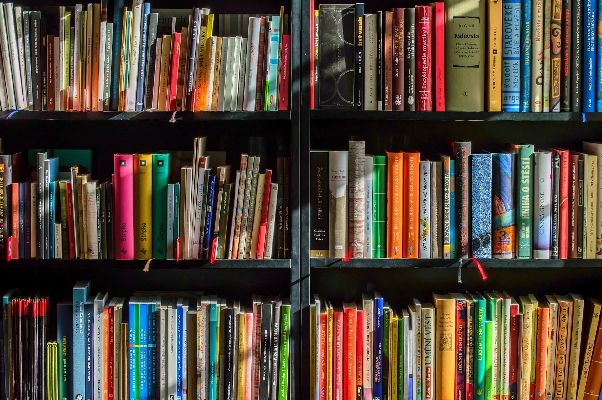 Boekenkast met boekenplanken