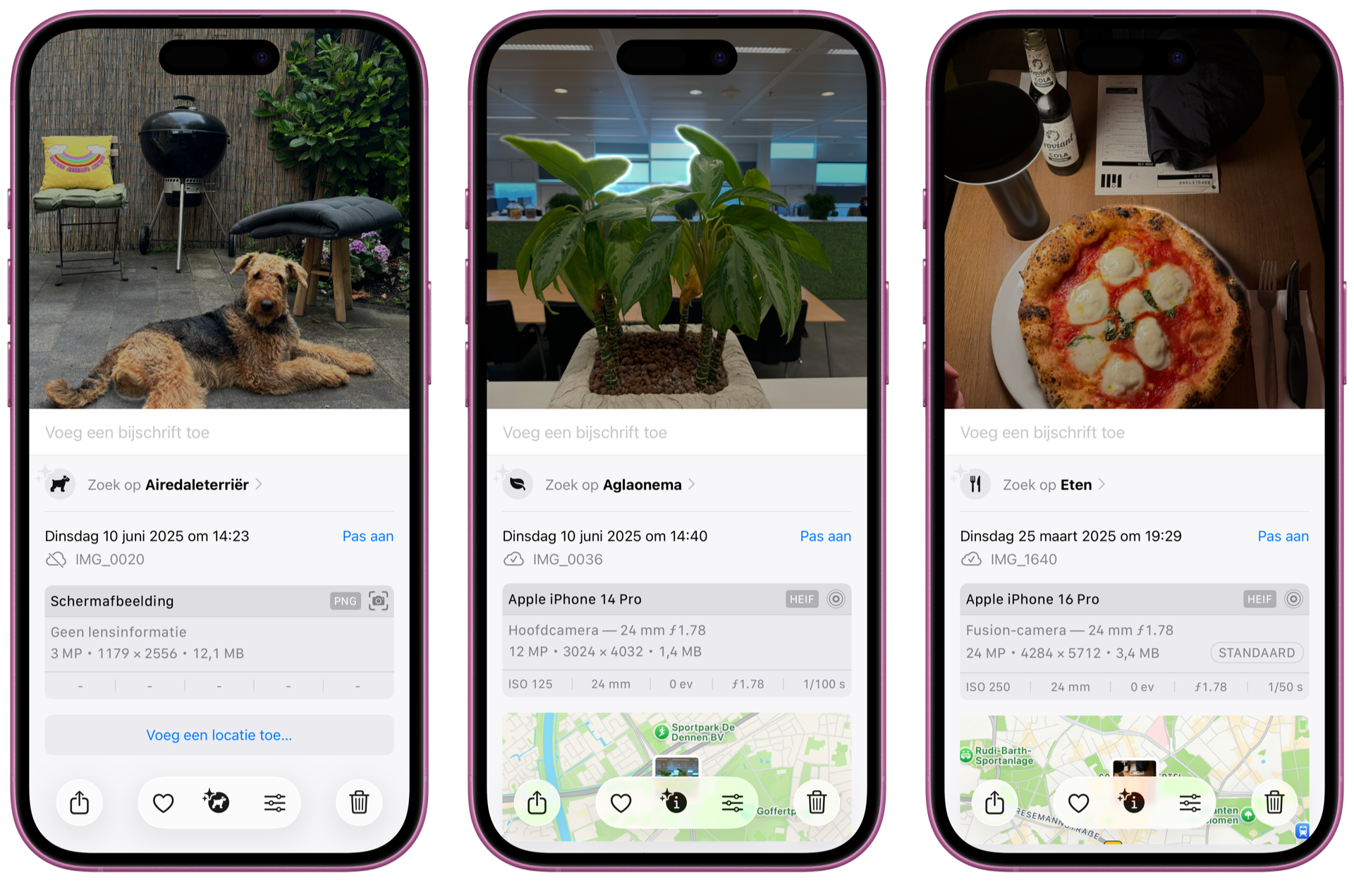 Visual Lookup in het Nederlands in iOS 26
