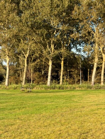 iPhone 17 Pro review camera: 4x