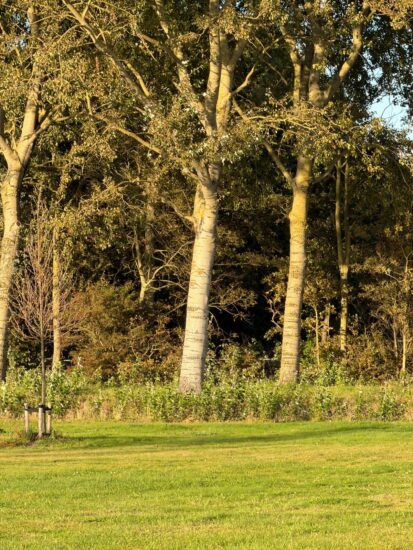 iPhone 17 Pro review camera: 8x
