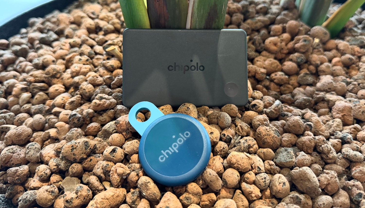 Chipolo LOOP en CARD