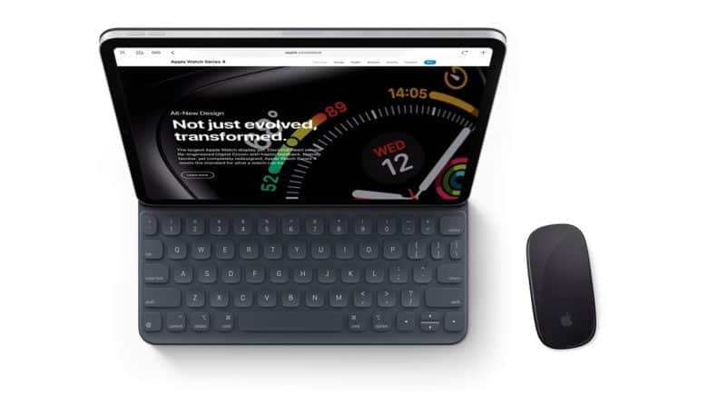 Ontembare lichtgewicht Verstelbaar iPad muis: de beste compacte iPad muizen voor onderweg