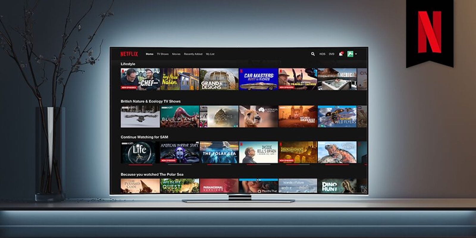 Netflix op tv