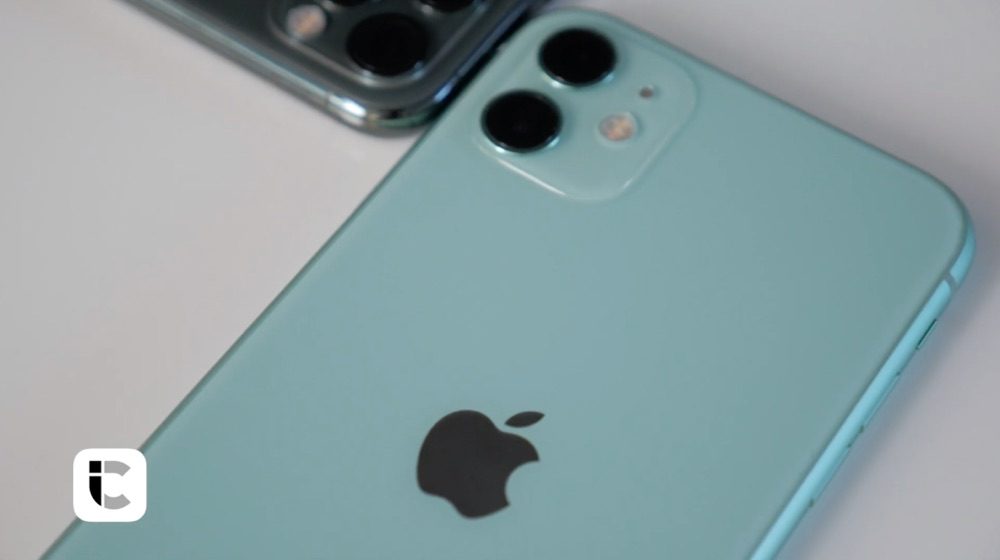 iPhone 11 review in het groen.