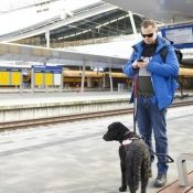 De NS Perronwijzer-app helpt mensen met een beperking de trein in