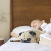 Sleep Cycle is terug op de Apple Watch