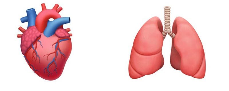 Apple emoji 2020: hart en longen