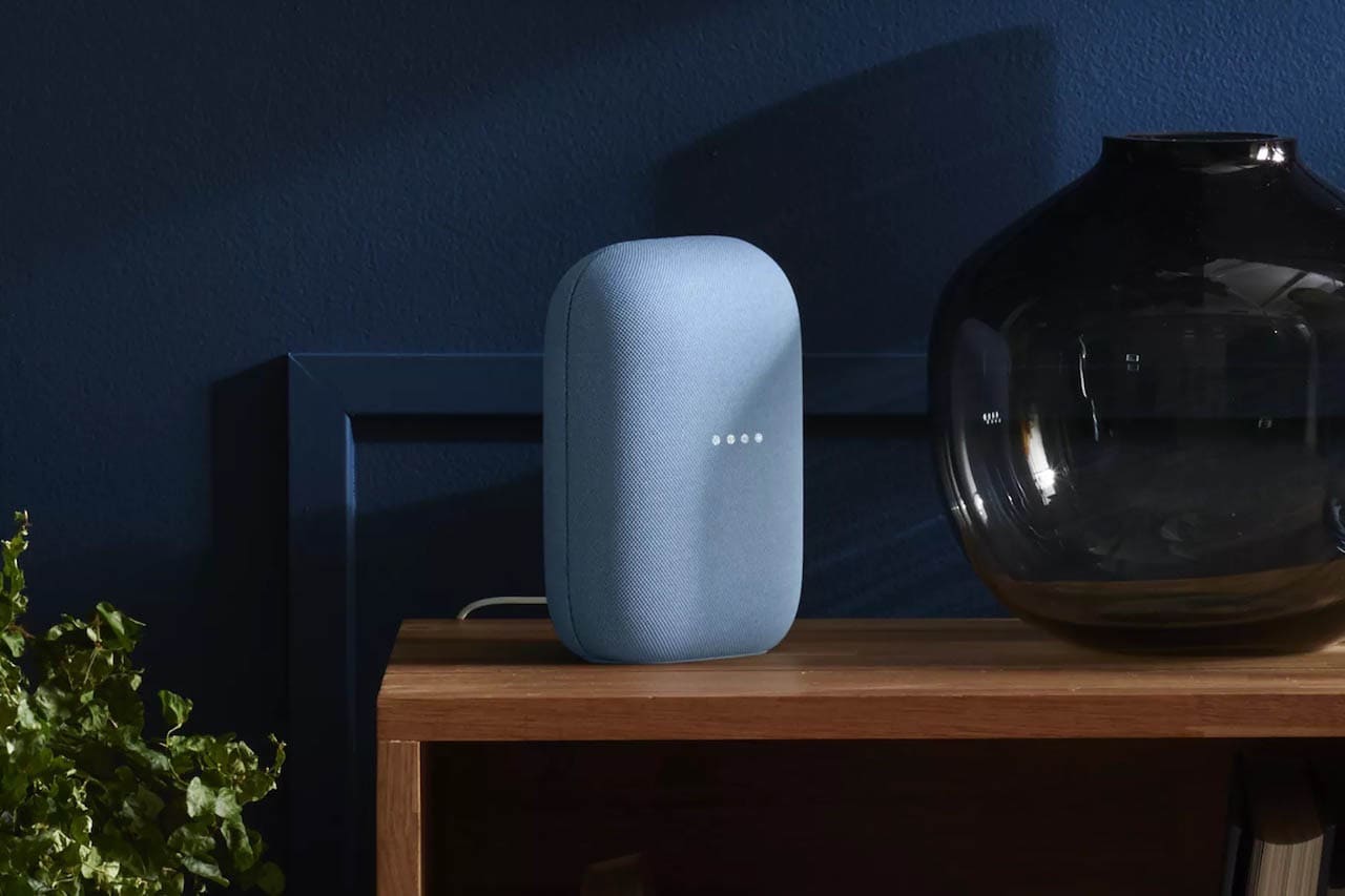 Google Nest speaker 2020