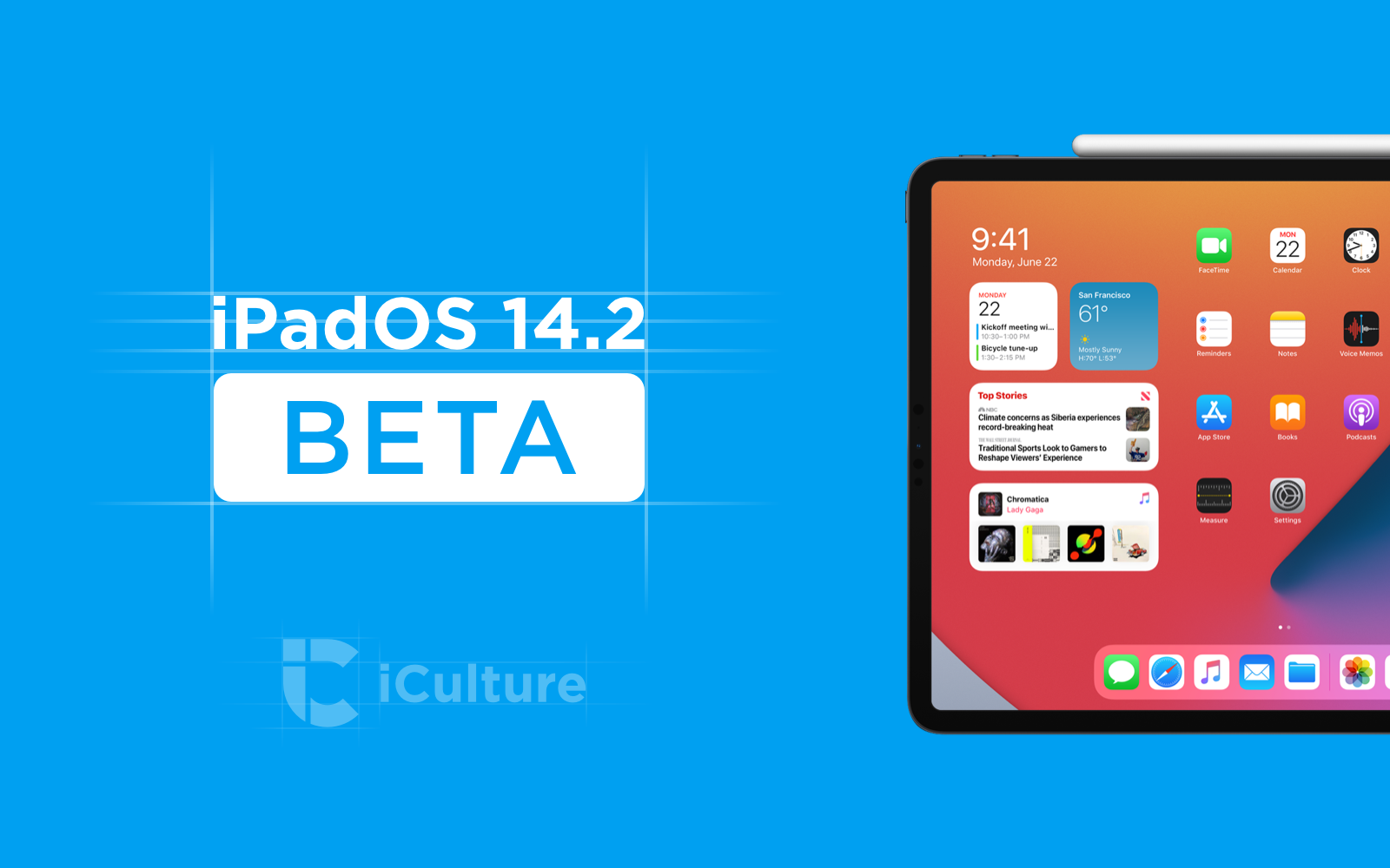 iPadOS 14.2 beta.