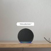 Amazon Echo Dot grijs