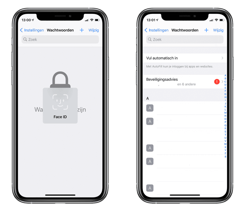 iCloud Sleutelhanger beveiliging en wachtwoorden bekijken.