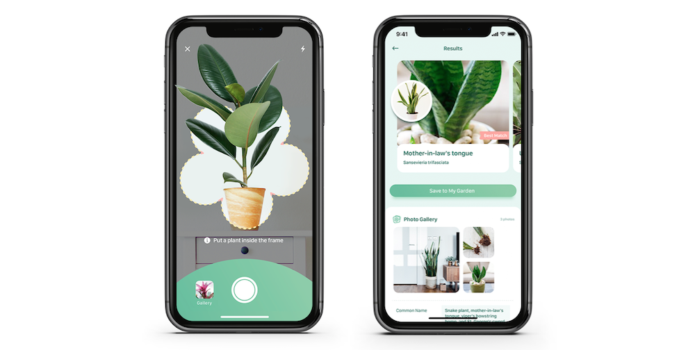 blossom-app-iphone-planten