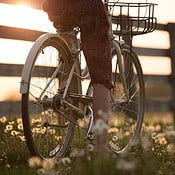 fietsen-platteland-lente