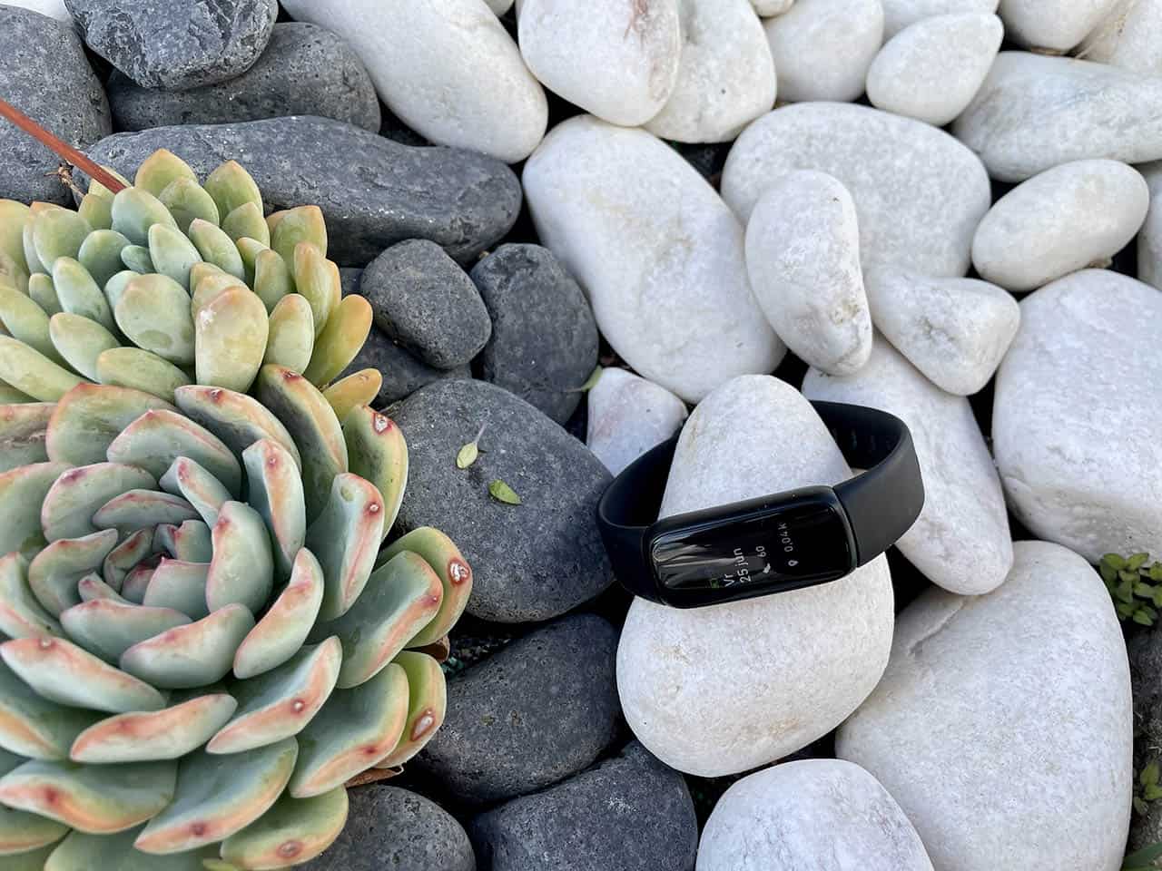Fitbit Luxe voorkant
