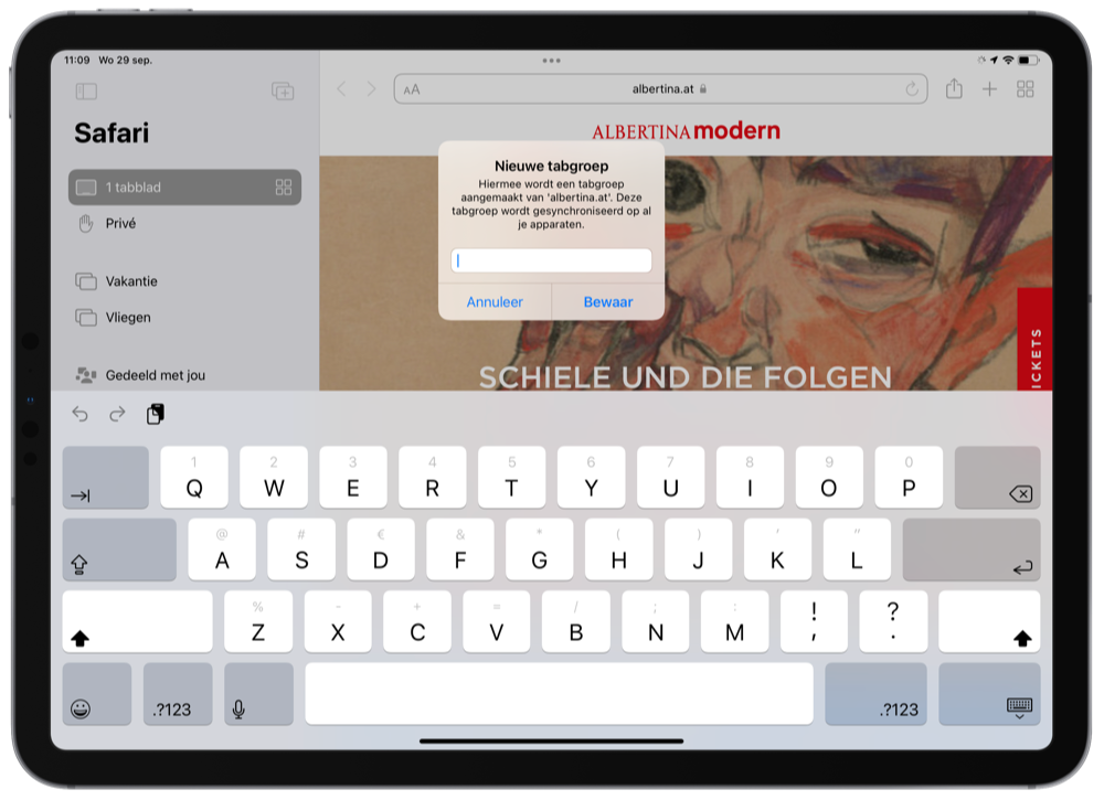 Tabgroepen aanmaken in Safari voor iPad
