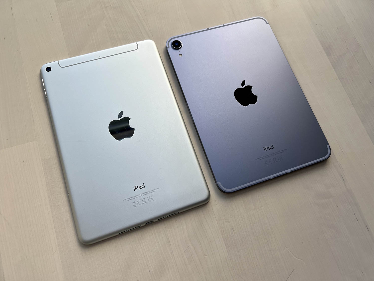 iPad mini 6 review: naast de iPad mini 5