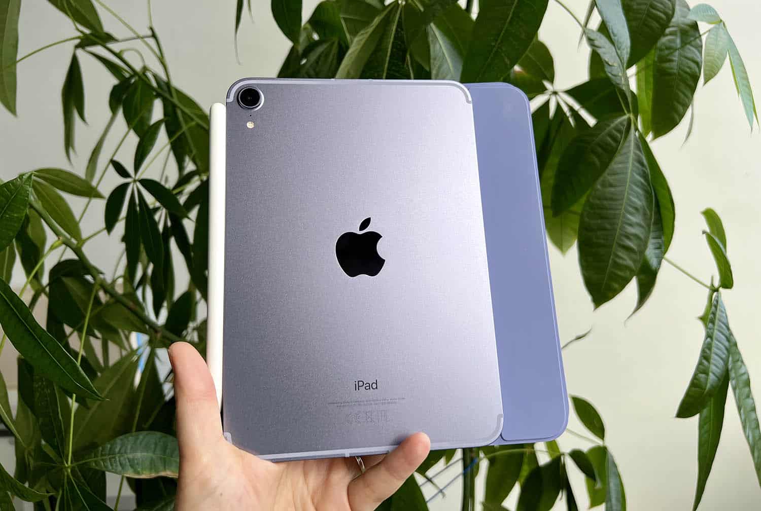iPad mini 6 review: in de hand met hoes
