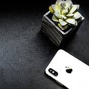 iPhone X met plant