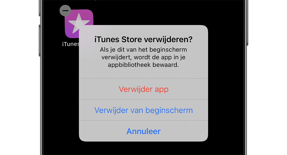 iTunes Store app verwijderen