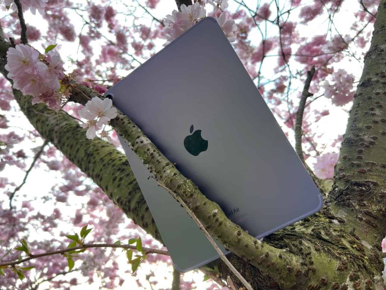 iPad Air 2022 in een boom.