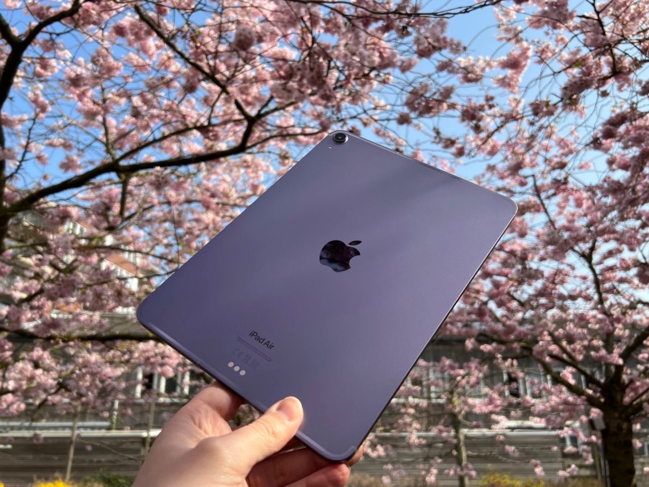 iPad Air 2022 review: achterkant met bloesem.