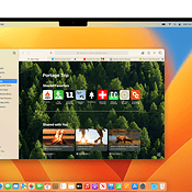 Safari 16 in macOS Ventura.