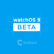 watchOS 9 Release Candidate nu te downloaden door testers