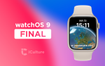 watchOS 9 Final