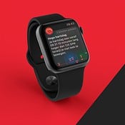 Waarschuwing bij hoge hartslag op Apple Watch instellen (en dit doe je als je een melding krijgt)