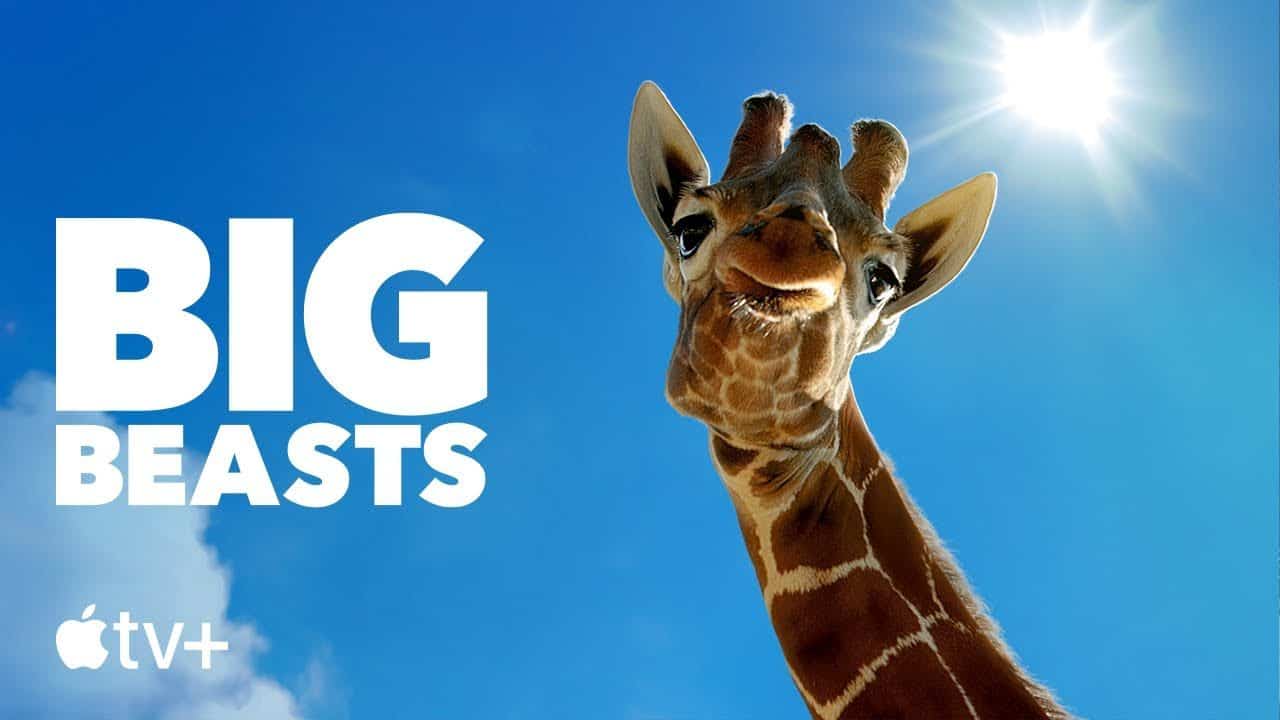 Big Beasts trailer